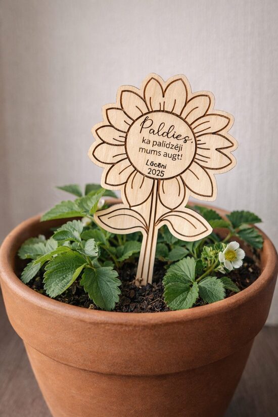 Koka puķītes- puķu podiem 