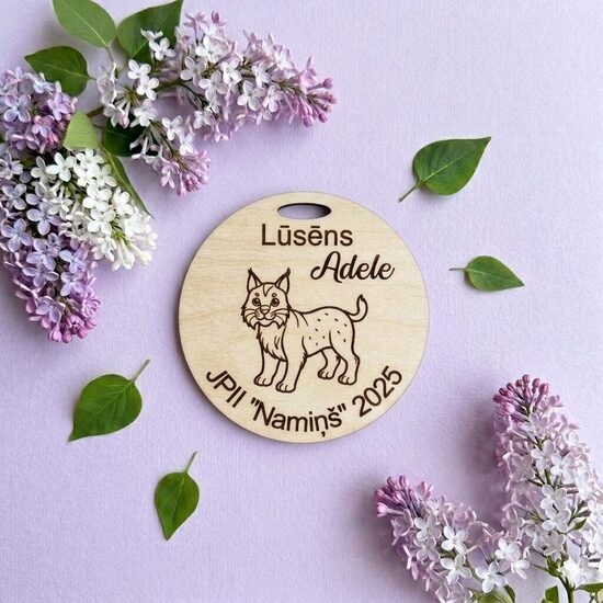 Personalizētas koka medaļas- bērnudārza izlaidumam